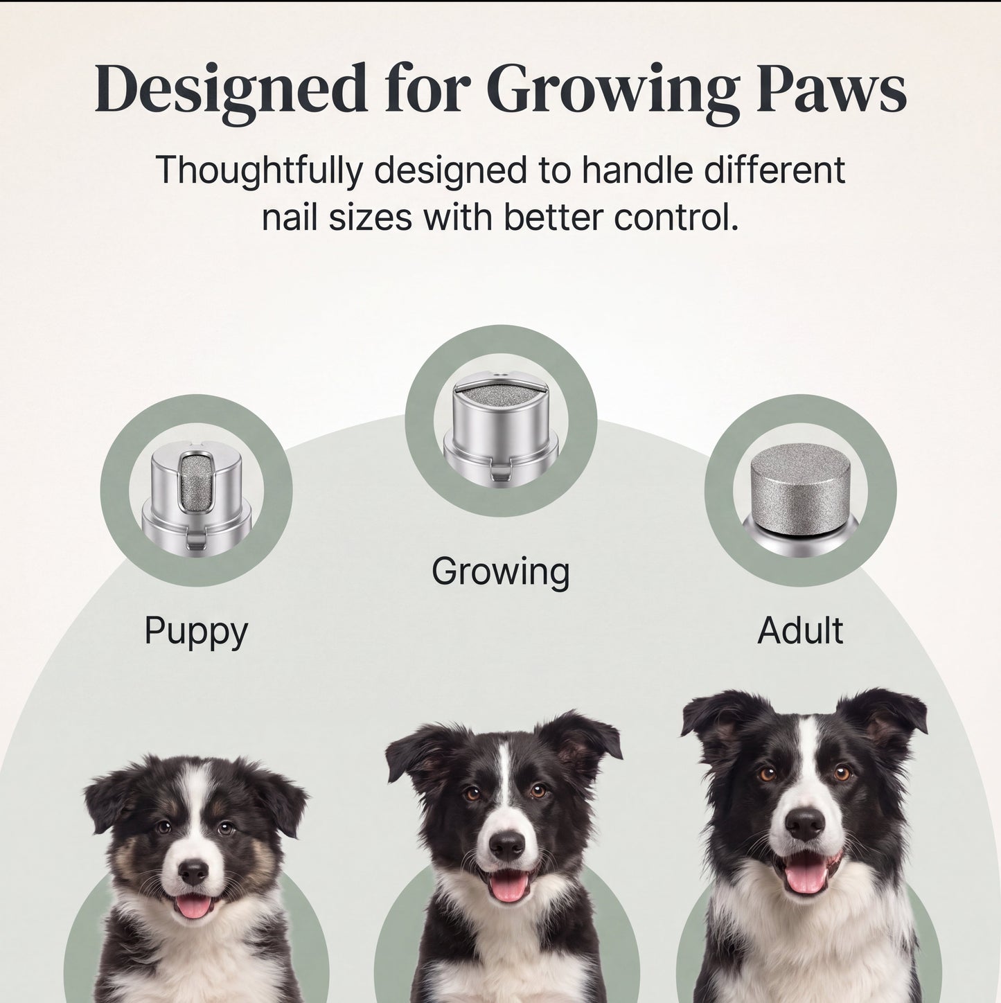 Pawlytic Lab QuickScan Pro™ See The Quick. Before You Cut. - Imagem 8