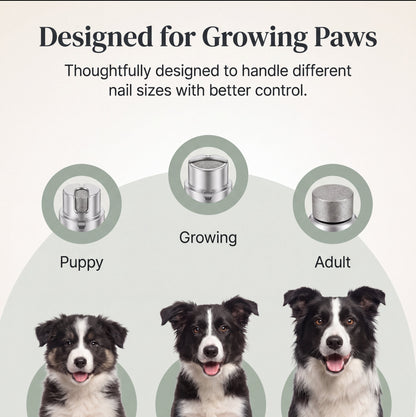 Pawlytic Lab QuickScan Pro™ See The Quick. Before You Cut. - Imagem 8